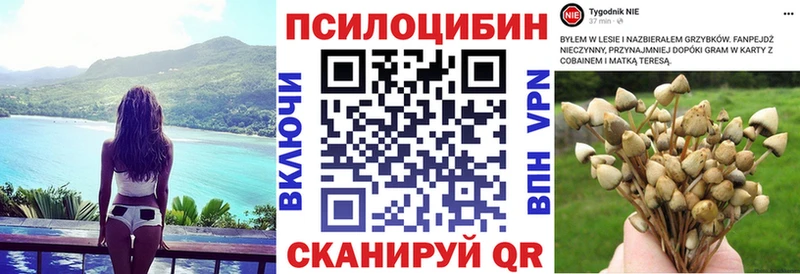 Псилоцибиновые грибы мицелий  как найти закладки  Озёрск 
